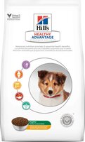 hill's healthy advantage puppy large breed