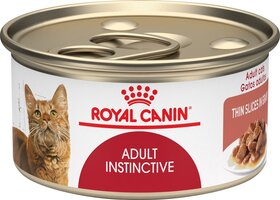 Royal Canin Gastrointestinal Moderate Calorie Cat Food Sensitive Stomach Cat Food Cat Food Calorie