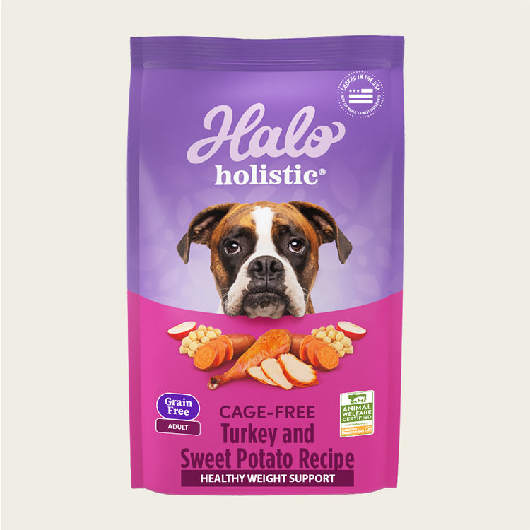 Halo Holistic Cage-Free Turkey and Sweet Potato Recipe (Healthy Weight Support)