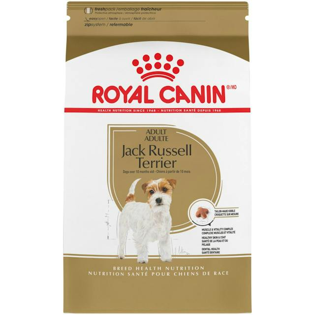 Royal Canin Breed Health Nutrition Jack Russell Terrier Adult
